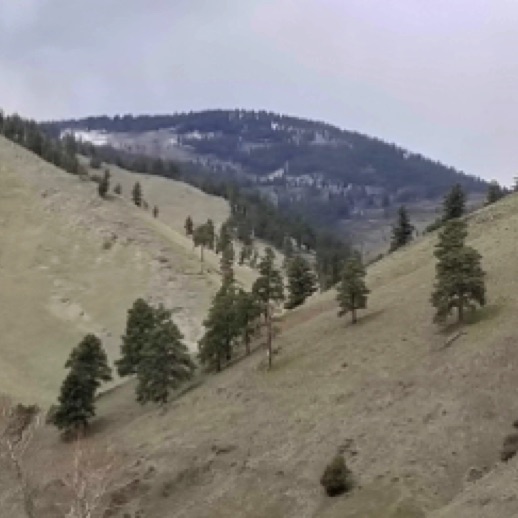 Along the road
